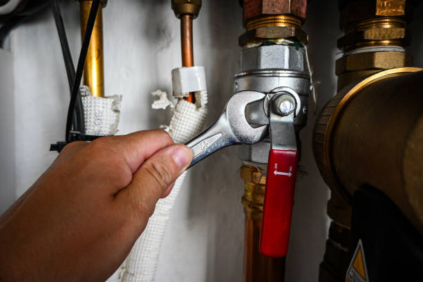Best Local Plumber Services  in Dickson, TN
